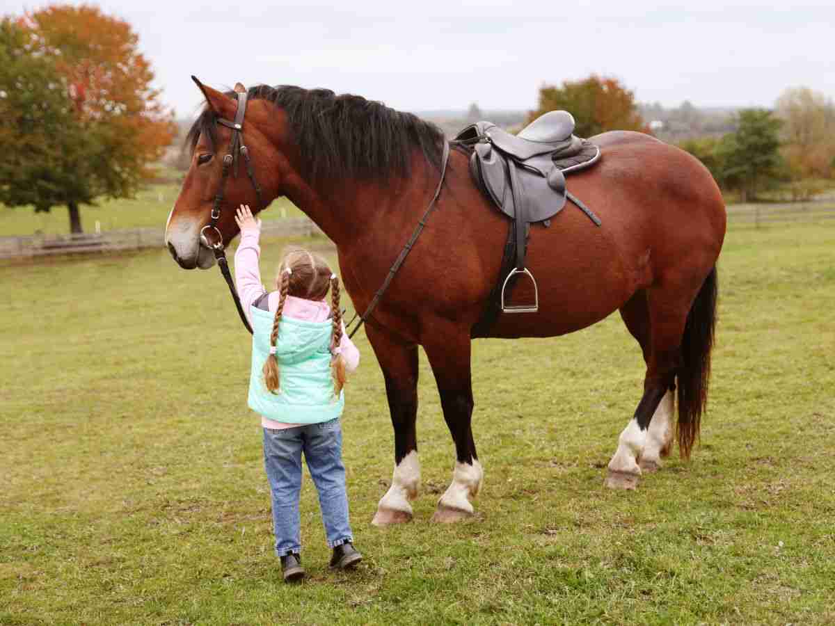 bambina con un cavallo