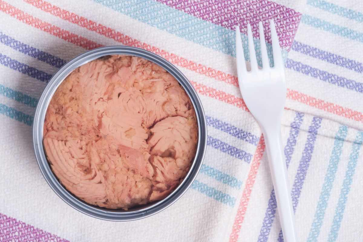 tonno in scatola su tovaglia di carta e forchetta di plastica